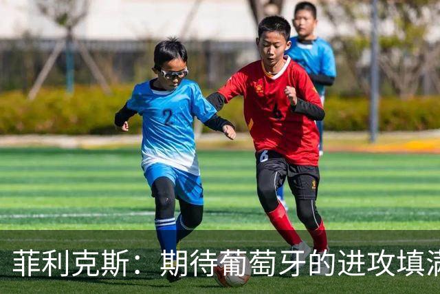 菲利克斯：期待葡萄牙的进攻填满球迷的心，金球奖我投亚马尔